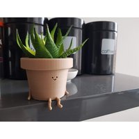 Sitztopf | Blumentopf Übertopf Sitzender Süsser Figur Kaktus Pflanzgefäß Sukkulenten von ReadySetMade