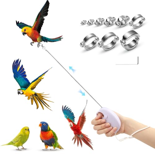 Realand 6 m automatisch einziehbare Vogelleine, Anti-Bissdraht, Vogelgeschirr-Leine mit 9 Größen, Fußringen aus Legierung, verstellbar, für Papageien, Nymphensittiche, Sittiche, Fliegen-Trainingsseil Realand 6 m automatisch einziehbare Vogelleine, Anti-Bissdraht, Vogelgeschirr-Leine mit 9 Größen, Fußringen aus Legierung, verstellbar, für Papageien, Nymphensittiche, Sittiche, Fliegen-Trainingsseil von Realand