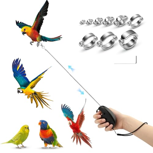 Realand 6 m automatisch einziehbare Vogelleine, Anti-Bissdraht, Vogelgeschirr-Leine mit 9 Größen Legierungs-Fußringen, verstellbares Seil für Papageien, Nymphensittiche, Sittiche, Realand 6 m automatisch einziehbare Vogelleine, Anti-Bissdraht, Vogelgeschirr-Leine mit 9 Größen Legierungs-Fußringen, verstellbares Seil für Papageien, Nymphensittiche, Sittiche, von Realand