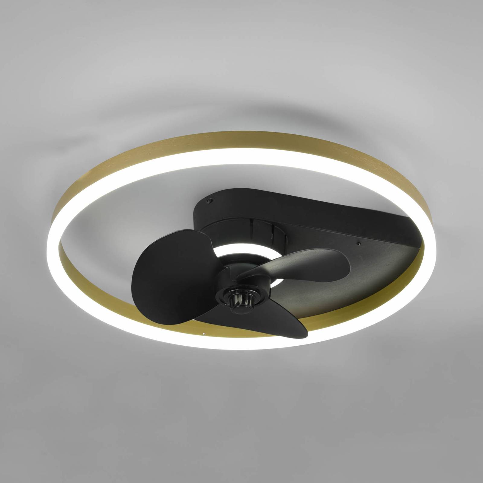 Deckenventilator Borgholm mit LEDs, CCT, schwarz von Reality Leuchten