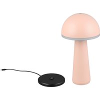 REALITY Leuchten LED Außen-Tischleuchte "FUNGO" LED-Board 1 Stk. warmweiß - kaltweiß Outdoor Akku Tischlampe inkl Ladestation USB-C, Lichtfarbe einstellbar REALITY Leuchten LED Außen-Tischleuchte "FUNGO" LED-Board 1 Stk. warmweiß - kaltweiß Outdoor Akku Tischlampe inkl Ladestation USB-C, Lichtfarbe einstellbar von Reality Leuchten