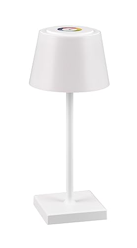Reality Leuchten LED Akku Außen Tischleuchte Sanchez R541216131, inkl. 2.1 Watt LED, Farbwechsel, Dimmer Reality Leuchten LED Akku Außen Tischleuchte Sanchez R541216131, inkl. 2.1 Watt LED, Farbwechsel, Dimmer von RL LIVE YOUR LIGHT