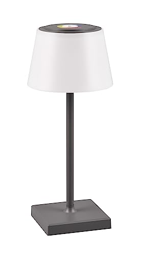 Reality Leuchten LED Akku Außen Tischleuchte Sanchez R54126142, inkl. 2.1 Watt LED, Farbwechsel, Dimmer von RL LIVE YOUR LIGHT