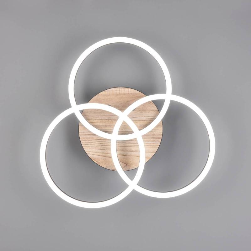 LED-Deckenleuchte Circle 3-flg. Fernbedienung Holz von Reality Leuchten