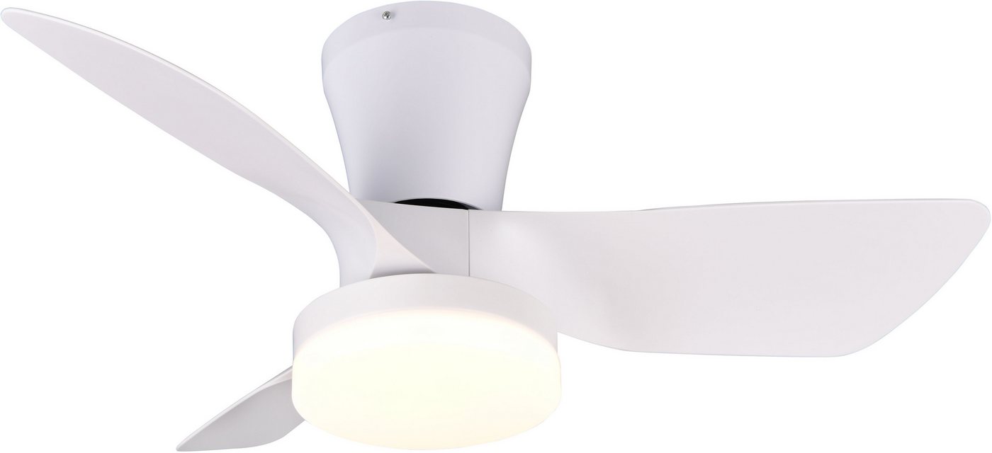 Reality Leuchten LED Deckenleuchte RANDERS mit Ventilator, Deckenventilator mit Licht inkl Fernbedienung, Ventilatorfunktion, LED fest integriert, warmweiß - kaltweiß, 6 Geschwindigkeiten Timer Vor- & Rücklauf LED dimmbar CCT Nachtlicht von Reality Leuchten