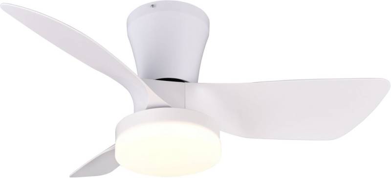 Reality Leuchten LED Deckenleuchte RANDERS mit Ventilator, Deckenventilator mit Licht inkl Fernbedienung, Ventilatorfunktion, LED fest integriert, warmweiß - kaltweiß, 6 Geschwindigkeiten Timer Vor- & Rücklauf LED dimmbar CCT Nachtlicht von Reality Leuchten