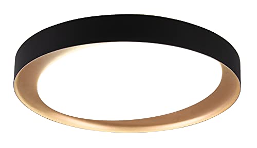 Reality Leuchten LED Deckenleuchte Zeta R62712402, Kunststoff schwarz oder goldfarbig, inkl. 24 Watt LED, Fernbedienung Reality Leuchten LED Deckenleuchte Zeta R62712402, Kunststoff schwarz oder goldfarbig, inkl. 24 Watt LED, Fernbedienung von RL LIVE YOUR LIGHT
