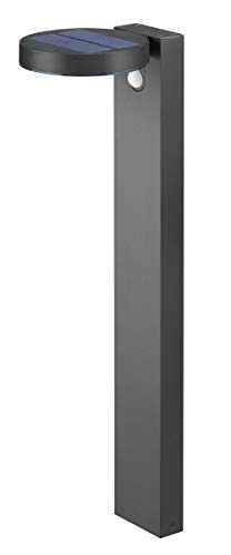 Reality Leuchten LED Solar Außenwegeleuchte Posadas R42251142, Kunststoff anthrazit, inkl. 4.5 Watt LED, Bewegungsmelder Wegeleuchte Reality Leuchten LED Solar Außenwegeleuchte Posadas R42251142, Kunststoff anthrazit, inkl. 4.5 Watt LED, Bewegungsmelder Wegeleuchte von RL LIVE YOUR LIGHT