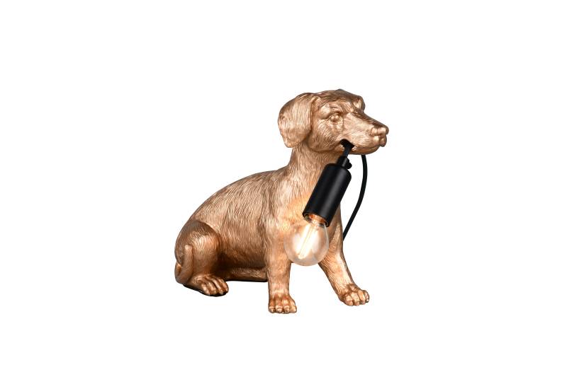 Reality Leuchten Tischleuchte RUDI in goldfbg. Reality Leuchten Tischleuchte RUDI in goldfbg. von Reality Leuchten