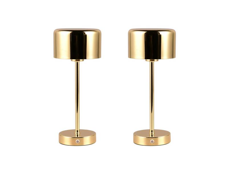 Reality Leuchten USB-Tischleuchte, 2er SET ohne Strom-kabel kabellos-e Akku Nacht-tischlampe 30cm dimmbar von Reality Leuchten