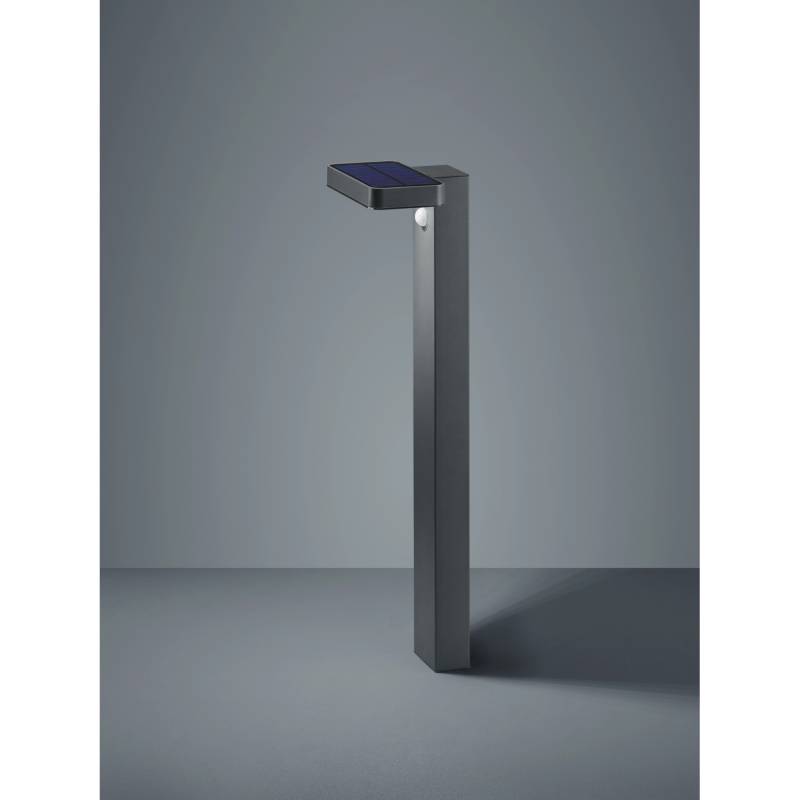Trio LED-Außenwegeleuchte Esquel mit Solarmodul Anthrazit von Reality by Trio