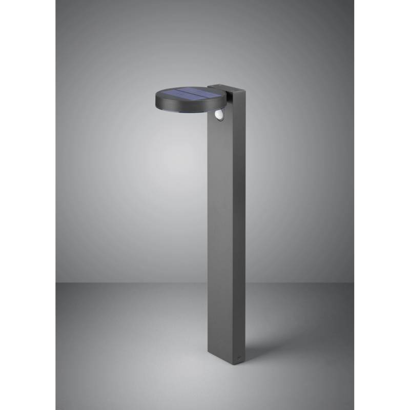 Trio LED-Außenwegeleuchte Posadas mit Solarmodul Anthrazit von Reality by Trio