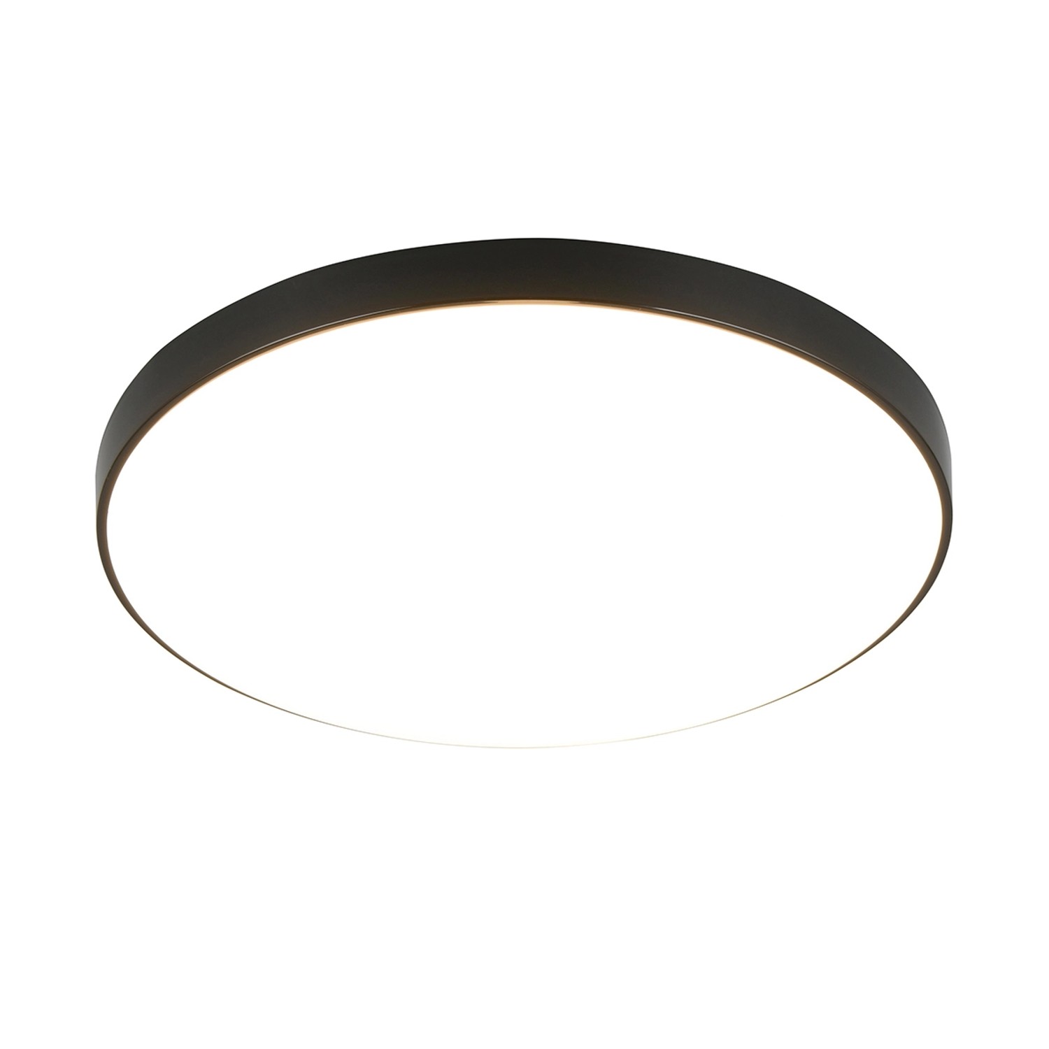 Reality LED-Deckenleuchte Alioth Schwarz von Reality