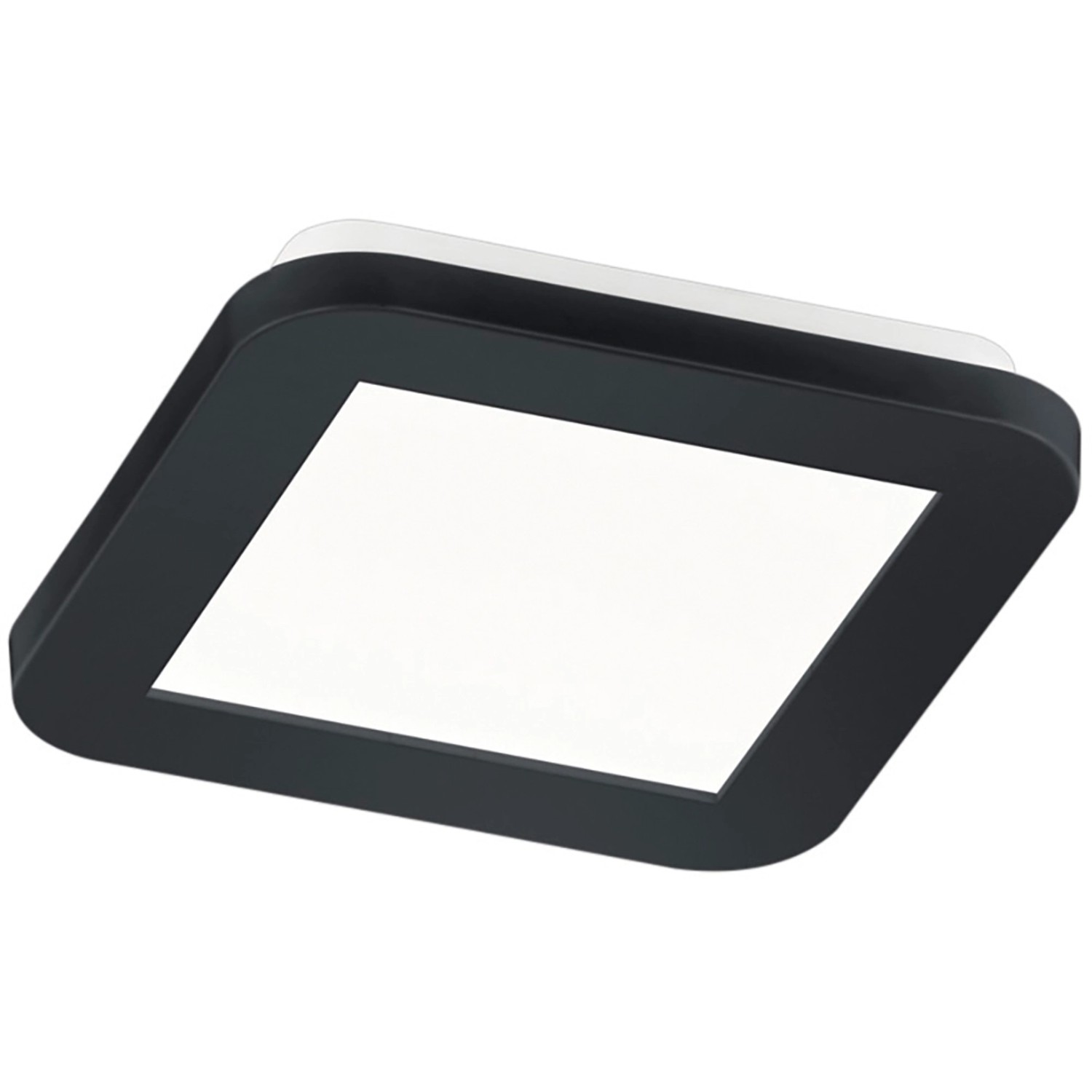 Reality LED Deckenleuchte Camillus Schwarz matt 30 mm x 170 mm x 170 mm von Reality