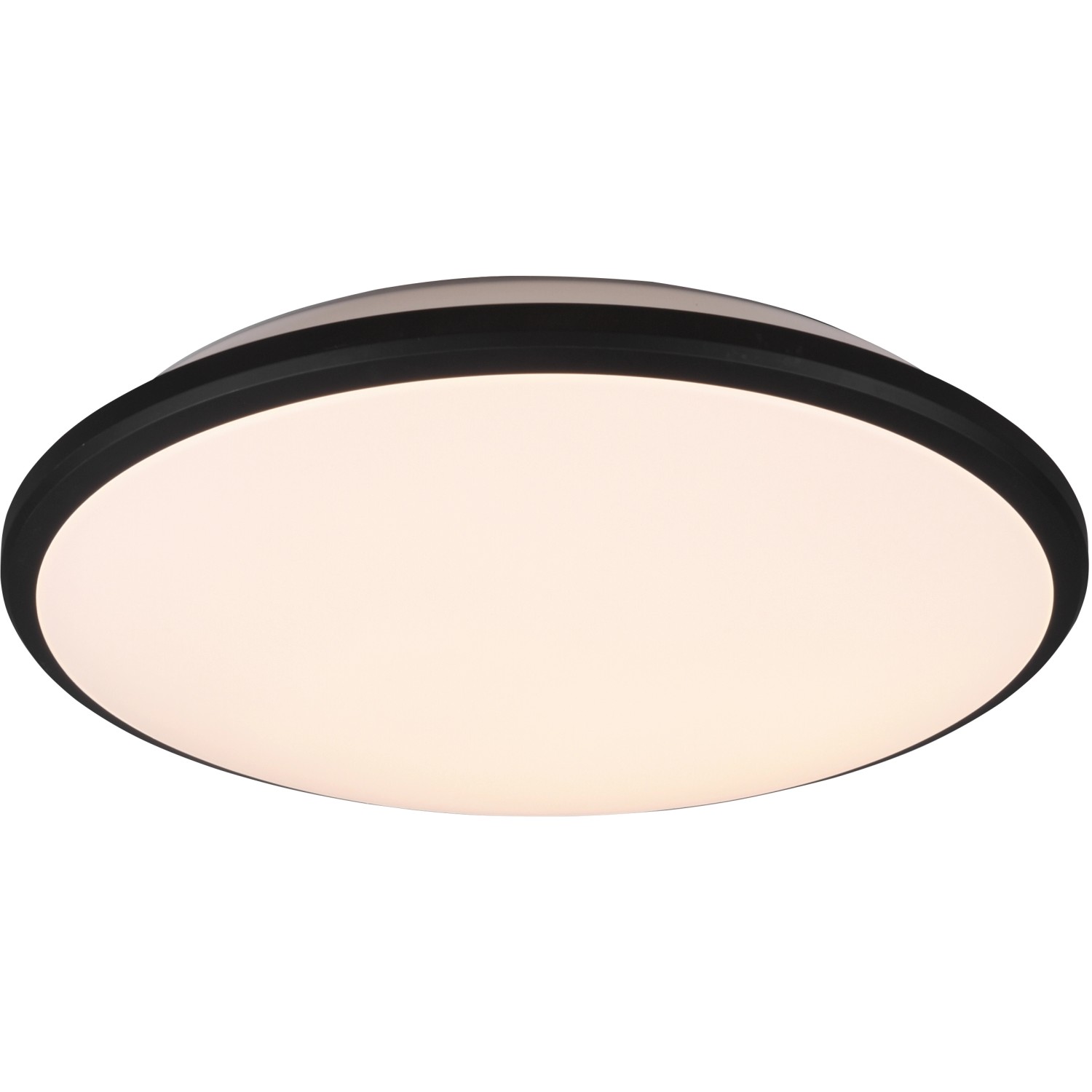 Reality LED-Deckenleuchte Limbus Schwarz matt Ø 34,7 cm Reality LED-Deckenleuchte Limbus Schwarz matt Ø 34,7 cm von Reality