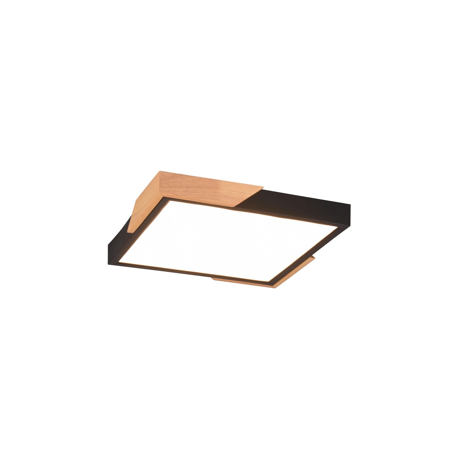 Reality LED-Deckenleuchte Meta 1-flammig Schwarz Matt 31,5 cm x 31,5 cm Reality LED-Deckenleuchte Meta 1-flammig Schwarz Matt 31,5 cm x 31,5 cm von Reality