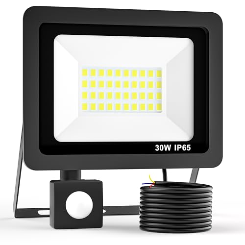 Realky 30W LED Strahler mit Bewegungsmelder, 3000LM Außenstrahler 6500K Superhell Außen Scheinwerfer LED Fluter IP65 Wasserdichter Aussenlampe mit Bewegungsmelder für Garten, Innenhöfe, Garage von Realky