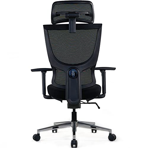 Realm of Thrones Admiral Ergonomischer Bürostuhl - verstellbar (Sitz/Rücken), 4D-Armlehnen, 3D-Kopfstütze, Lendenstütze, Mesh-Rücken, Drehfunktion & Stahlbasis (Schwarz) von Realm of Thrones