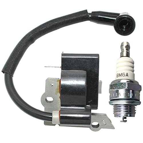 Realman 530039134 530039218 Zündmodulspule mit BM6A Zündkerze für McCulloch Partner Freischneider/Trimmer B305 B322 B265 T221 T280 T330 T330+ von Realman