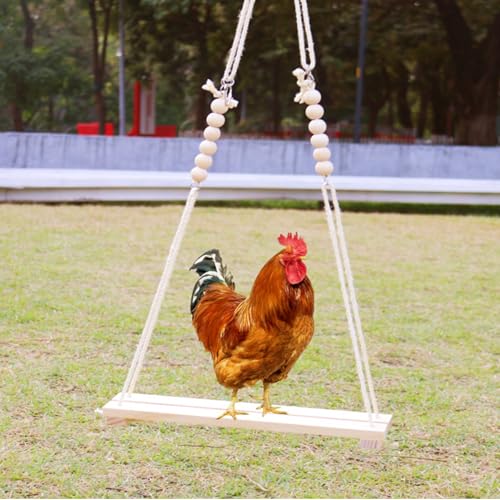 1 Packung Holz Huhn Schaukel Spielzeug Hahn Schaukel für Hühner Hahn Geflügel Papageien 1 Packung Holz Huhn Schaukel Spielzeug Hahn Schaukel für Hühner Hahn Geflügel Papageien von Rebecca online