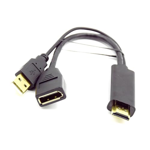 Rebellious Für HDTV Zu DisplayPort Adapter Mit USB Ladeanschluss Für Mehrere Geräte Unterstützt 4K60 Hz Sehr Klare Anzeige von Rebellious
