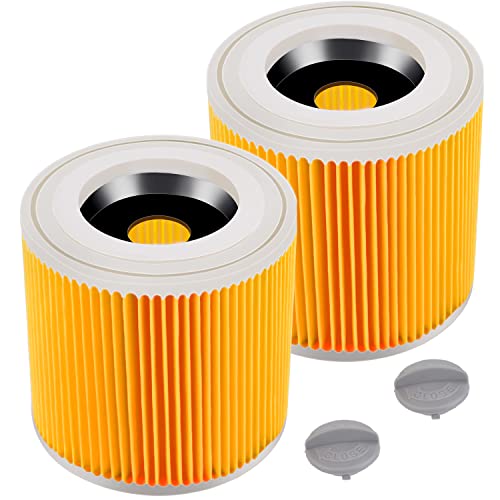 Rebirthcare 2 Stück WD3 Filter für Kärcher WD3 Premium WD2 WD3 WD3P WD1 MV2 MV3 A2004 A2604 A2204 A2054 SE4001 SE4002 Patronenfilter Ersatzfilter Staubsaugerfilter für Kärcher 6.414-552.0/64145520 von Rebirthcare