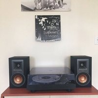 Now Spinning Schallplatten Wandhalterung Display Regal - 3D Gedruckt Wand Kunst Dekor Einschraub Version von RecordRacks