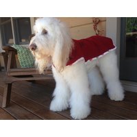 Komplett Reversible Wolle Hund Mantel Jacke Sweater Repurposed Recycle Through Reuse Auf Beiden Seiten Tragbar Sz Xl Handmade in Den Usa von RecycleThroughReuse