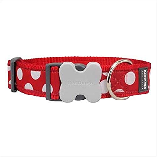 Red Dingo Hundehalsband, weiße Punkte, Rot von Red Dingo