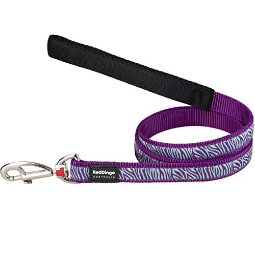 Red Dingo Hundeleine, 15 mm x 1,2 m, klein, violett/Zebra von Red Dingo