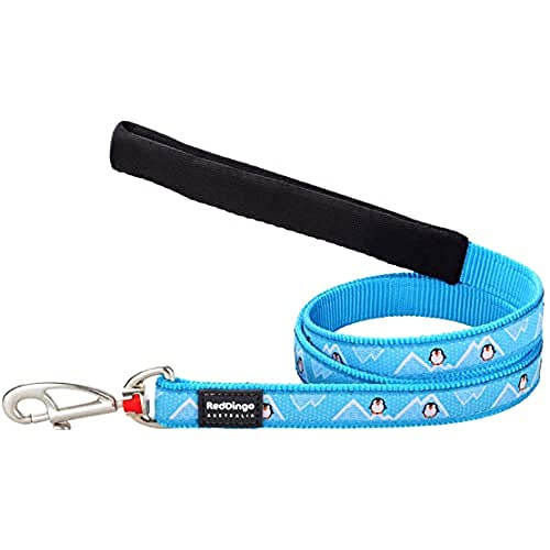 Red Dingo Padded Handle Dog Lead 1.2m Design. Penguin Turquoise, Small 15mm von Red Dingo