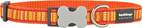 Red Dingo LotzaDotz Hundehalsband, Größe S, 12 mm, Orange von Red Dingo