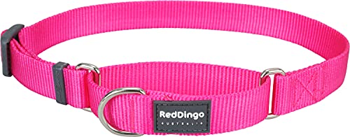 Red Dingo Martingale Hundehalsband, einfarbig von Red Dingo