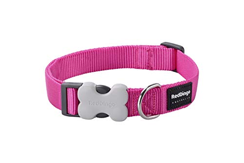 Trilus DC-ZZ-HP-LG Nylon Hundehalsband, hot pink, L von Red Dingo