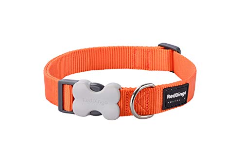 Trilus DC-ZZ-OR-SM Nylon Hundehalsband, orange, XS von Red Dingo