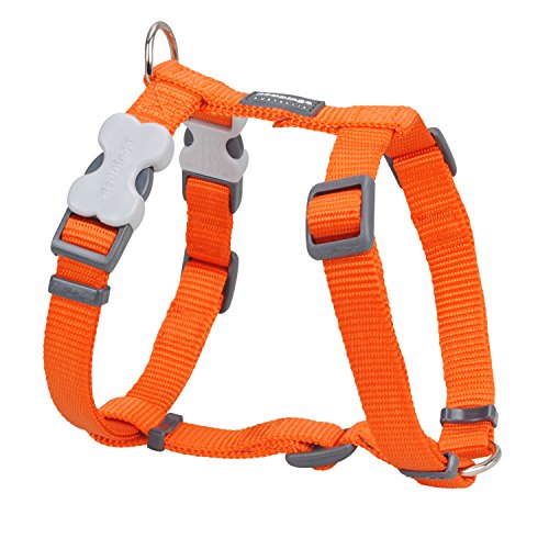 Trilus DH-ZZ-OR-20 Nylon Hundegeschirr, orange, M von Red Dingo