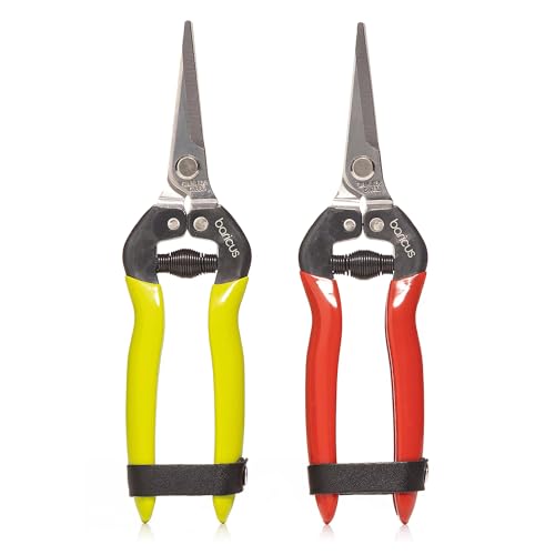 Baricus Zauberscheren 2er-Set – Scharfe Gartenscheren für präzise Schnittarbeiten bei Pflanzen, Blumen & Gemüse – Edelstahlklingen, handlich & rostfrei – B-Ware von Red Tools
