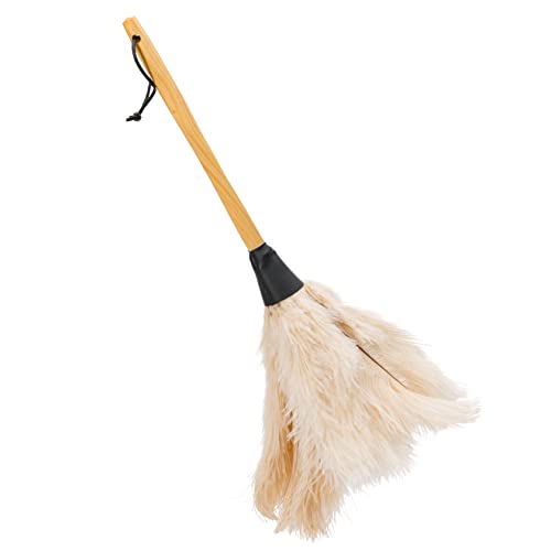 Redecker Staubwedel mit Straußenfedern, Buchenholzgriff, Cremefarben, 50 cm Redecker Staubwedel mit Straußenfedern, Buchenholzgriff, Cremefarben, 50 cm von Redecker