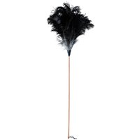 Redecker Straußenwedel 110 cm Redecker Straußenwedel 110 cm von Redecker