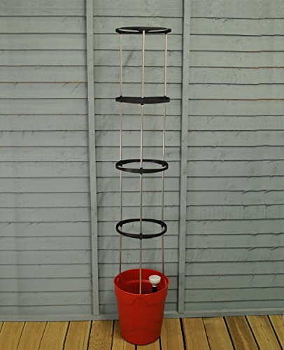 Garland Selbstbewässernder Blumentopf, Rot von Garland