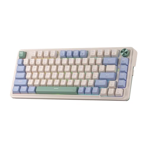 Redragon K673 PRO RGB-Gaming-Tastatur mit 75% kabelloser Dichtung, 3 Modi, kompakte mechanische Tastatur mit Hot-Swap-Buchse, spezielle Drehknopfsteuerung und schallabsorbierende Pads, roter Schalter von Redragon