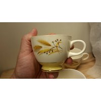 Herbst Gold Becher | 1 Allianz China Sockel Basis Glänzende Akzente in Hervorragendem Vintage Zustand Eine Tasse von Redstone2020