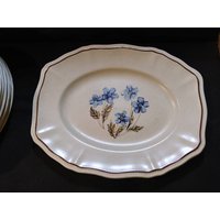 Kensington Staffordshire Ironstone Servierplatte ""Hyde Park"" Kollektion in Sehr Gutem Vintage Zustand" von Redstone2020