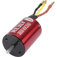 Reely Automodell Brushless Elektromotor kV (U/min pro Volt): 3650 von Reely