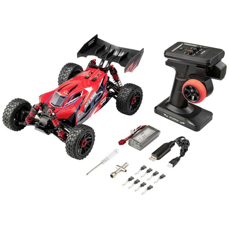Reely Major Rot Brushed 1:14 RC Modellauto Elektro Buggy Modellbauauto Modellbau von Reely