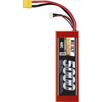 Reely - Modellbau-Akkupack (LiPo) 11.1 v 5000 mAh Zellen-Zahl: 3 40 c Hardcase XT90 von Reely