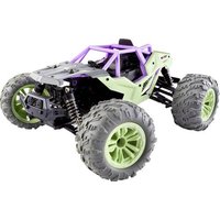 Reely RE-6923943 1:14 RC Einsteiger Modellauto Elektro Rally Allradantrieb (4WD) inkl. Akku und Lade von Reely