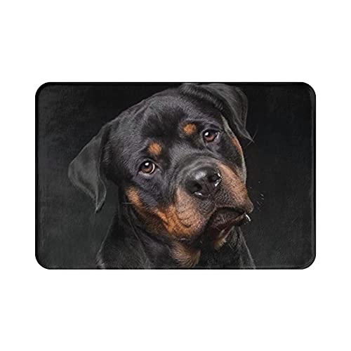 ReesEt Fußmatte, Rottweiler – liebevolle, selbstbewusste und Treue Badematte, rutschfeste Bodenmatte, weiche Badezimmerteppiche, saugfähige Badezimmerunterlage, 40 x 60 cm von ReesEt