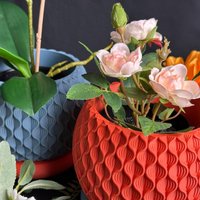 Einzigartiger 3D-Gedruckter Pflanztopf | Made in Germany Moderner Und Nachhaltiger Blumentopf Für Kleine Pflanzen Spessart Teutoburg von Refin3DLivingStudio