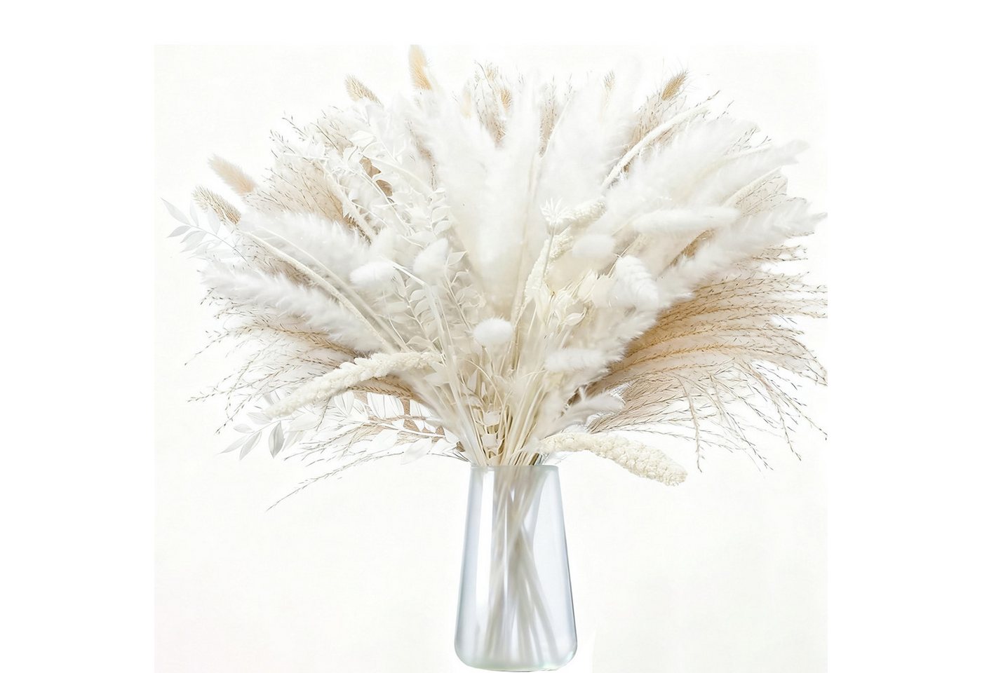Trockenblume 70 Stück Pampasgras Getrocknet DIY 45cmTrockenblumen Deko Boho für Hochzeits, Flur, Vasen, Room Vintage Beige Deko, Tischdekoration, Refined Living, Schilfgras, Ähren, Glucksblatt, lagurus, Sternanis, Einhorngras Trockenblume 70 Stück Pampasgras Getrocknet DIY 45cmTrockenblumen Deko Boho für Hochzeits, Flur, Vasen, Room Vintage Beige Deko, Tischdekoration, Refined Living, Schilfgras, Ähren, Glucksblatt, lagurus, Sternanis, Einhorngras von Refined Living